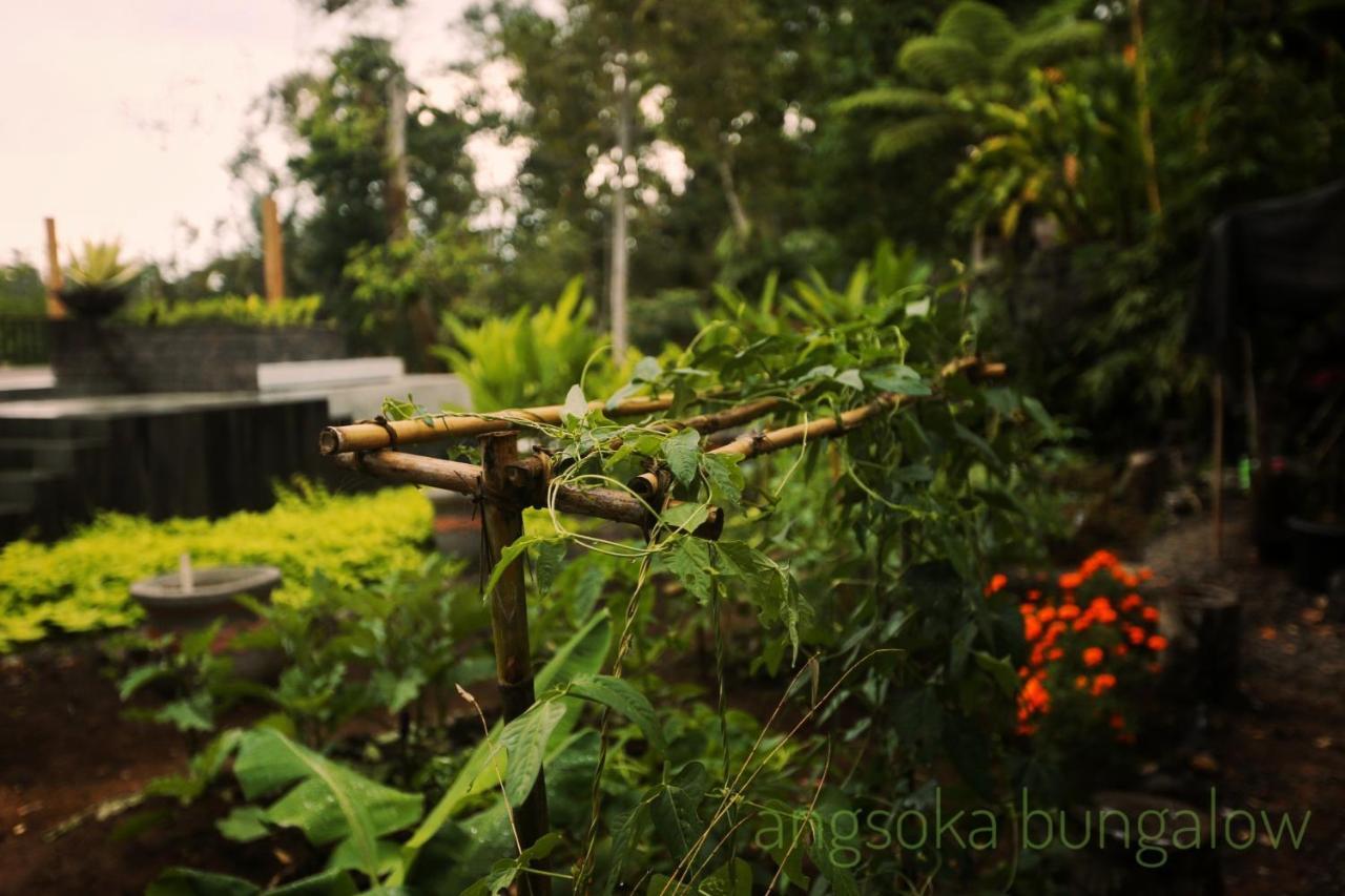 Angsoka Bungalow Ubud  Exterior photo